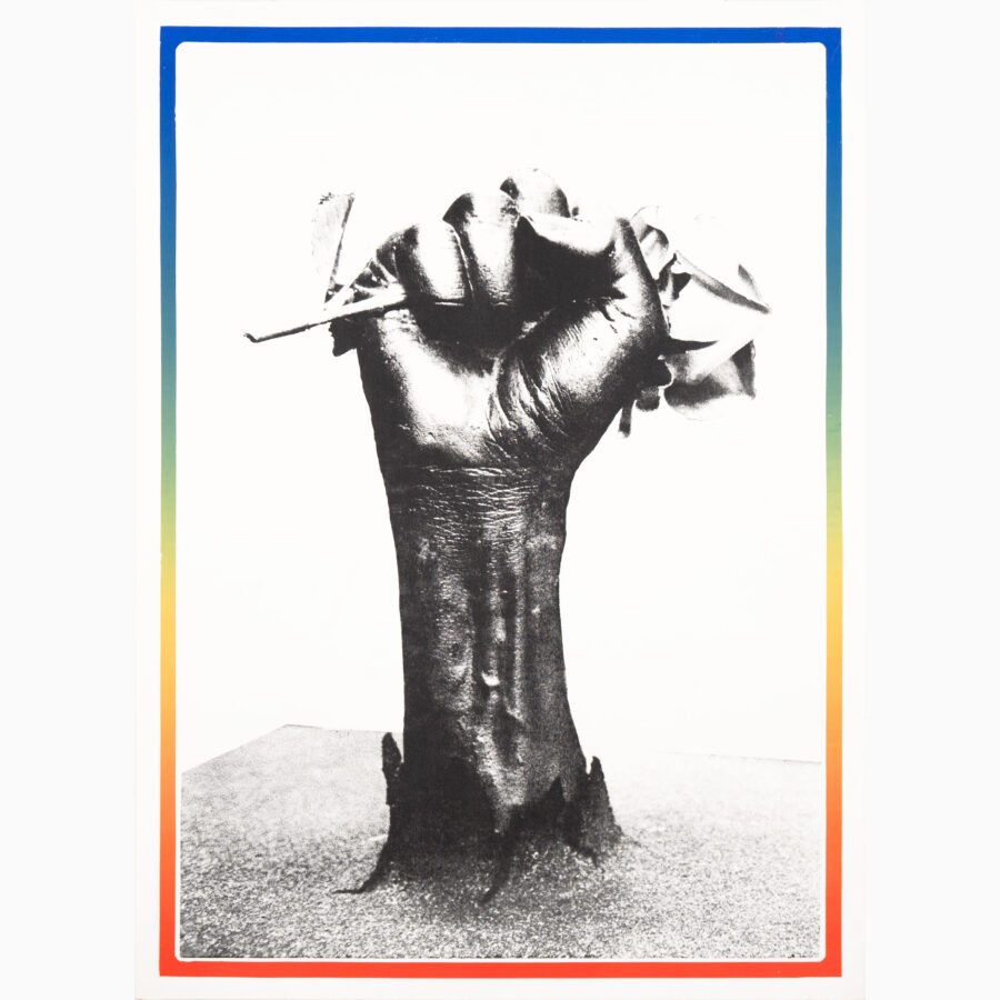 Ola Enstad - Fist and rose